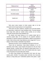 Referāts 'Līzinga operāciju pilnveidošana', 25.