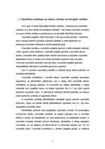 Referāts 'Statistika. Cukura ražošanas nozare', 7.