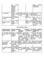 Konspekts 'Vitamīni', 3.