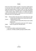 Referāts 'Jauniešiem veltītie preses izdevumi Latvijā', 3.