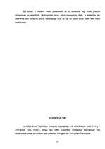 Referāts 'Izplatītākie noziegumi nepilngadīgo vidū sabiedriskajās vietās no 2004.-2006.gad', 16.
