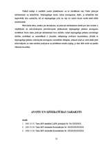 Referāts 'Izplatītākie noziegumi nepilngadīgo vidū sabiedriskajās vietās no 2004.-2006.gad', 18.