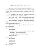 Referāts 'Spēles kā mācību metodes nozīme svešvalodas apgūšanai', 5.