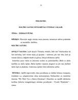 Referāts 'Spēles kā mācību metodes nozīme svešvalodas apgūšanai', 34.