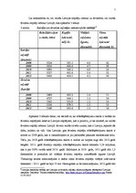 Referāts 'Tūrisma attīstība Latvijā', 7.