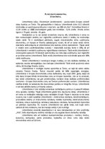 Eseja 'Pundurvalsts ekonomika - Lihtenšteina', 1.