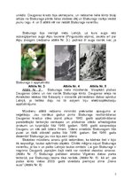 Referāts 'Regionālā ainavu plānošana', 4.