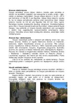 Referāts 'Regionālā ainavu plānošana', 11.