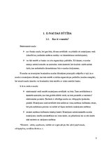 Referāts 'E-nauda', 5.