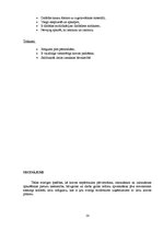 Referāts 'Elevatori un to pievada jaudas aprēķins', 14.