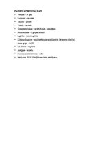 Paraugs 'Pacienta slimības vēsture', 2.