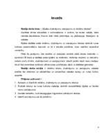 Referāts 'Kļūdas sludinājumu, paziņojumu un reklāmu tekstos', 4.