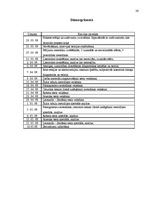 Prakses atskaite 'Prakses atskaite psiholoģijā', 26.