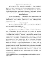 Referāts 'Pārrobežu vajāšana', 5.