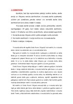 Konspekts 'Darba tiesības, kāzuss', 1.