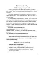 Prakses atskaite 'Prakse šūšanas salonā', 7.