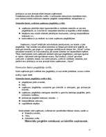 Prakses atskaite 'Prakse šūšanas salonā', 17.