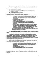 Prakses atskaite 'Prakse šūšanas salonā', 18.