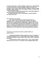 Prakses atskaite 'Prakse šūšanas salonā', 24.