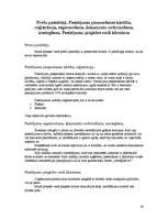 Prakses atskaite 'Prakse šūšanas salonā', 30.