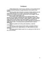 Prakses atskaite 'Prakse šūšanas salonā', 32.