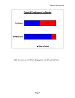 Biznesa plāns 'Business Plan - Maternity Wear', 8.