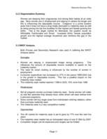 Biznesa plāns 'Business Plan - Maternity Wear', 15.