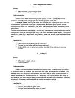 Prakses atskaite 'Izglītības psihologa asistents', 13.