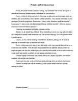 Prakses atskaite 'Izglītības psihologa asistents', 30.