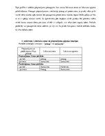 Paraugs 'Pieprasījums un piedāvājums. Tirgus līdzsvars', 3.