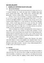 Referāts 'Medību tūrisma iespējas Namībijā', 5.