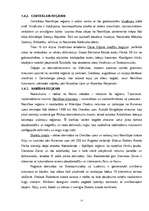 Referāts 'Medību tūrisma iespējas Namībijā', 11.