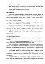 Referāts 'Medību tūrisma iespējas Namībijā', 18.