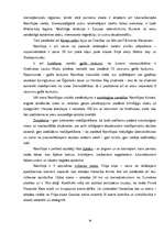 Referāts 'Medību tūrisma iespējas Namībijā', 19.