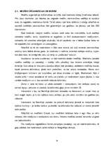 Referāts 'Medību tūrisma iespējas Namībijā', 24.