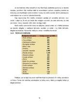 Referāts 'Medību tūrisma iespējas Namībijā', 29.