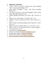 Referāts 'Medību tūrisma iespējas Namībijā', 31.