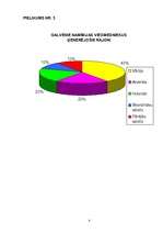 Referāts 'Medību tūrisma iespējas Namībijā', 36.