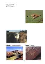 Referāts 'Medību tūrisma iespējas Namībijā', 38.