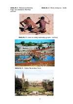 Referāts 'Medību tūrisma iespējas Namībijā', 39.