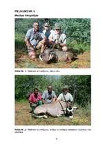 Referāts 'Medību tūrisma iespējas Namībijā', 41.