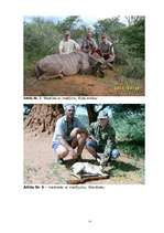 Referāts 'Medību tūrisma iespējas Namībijā', 42.