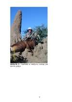 Referāts 'Medību tūrisma iespējas Namībijā', 43.