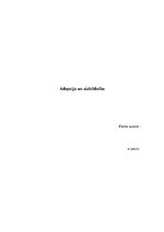 Paraugs 'Adopcija un aizbildnība', 1.