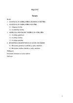 Paraugs 'Adopcija un aizbildnība', 2.