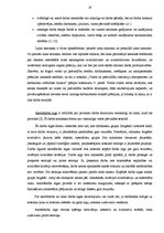 Diplomdarbs 'Darba samaksa un ar to saistīto nodokļu analīze', 19.