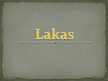 Prezentācija 'Lakas', 1.