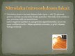Prezentācija 'Lakas', 11.