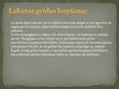 Prezentācija 'Lakas', 16.