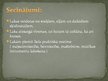 Prezentācija 'Lakas', 17.